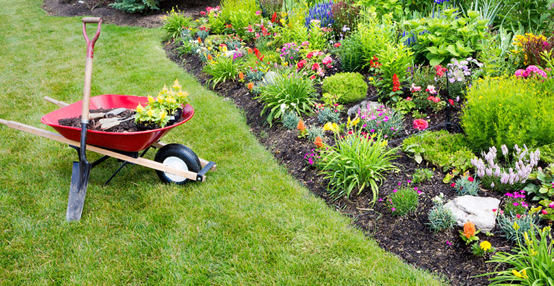 Technical & Preventive Maintenance